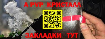 ECSTASY Чебоксары