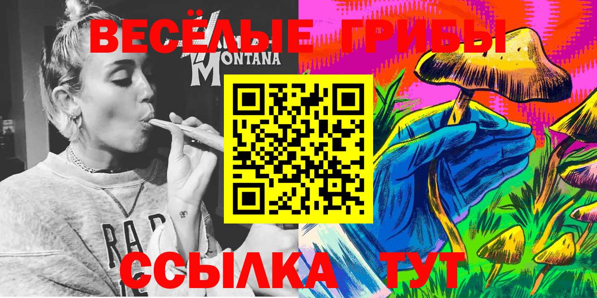 Губкин  Галлюциногенные грибы Psilocybe  Псилоцибиновые грибы прущие грибы  Вход с VPN 